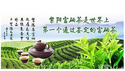 含硒茶叶有什么功效（茶叶补硒的作用和好处）-硒宝网