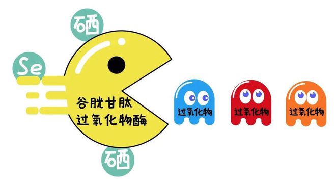 肽和硒一起用的功效（肽好还是硒好）-硒宝网