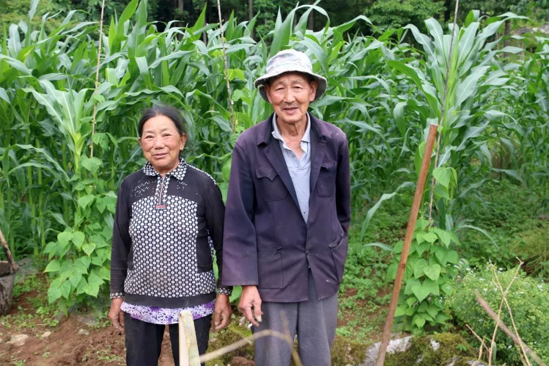 恩施富硒土豆特点(恩施富硒土豆多少钱一斤)-硒宝网