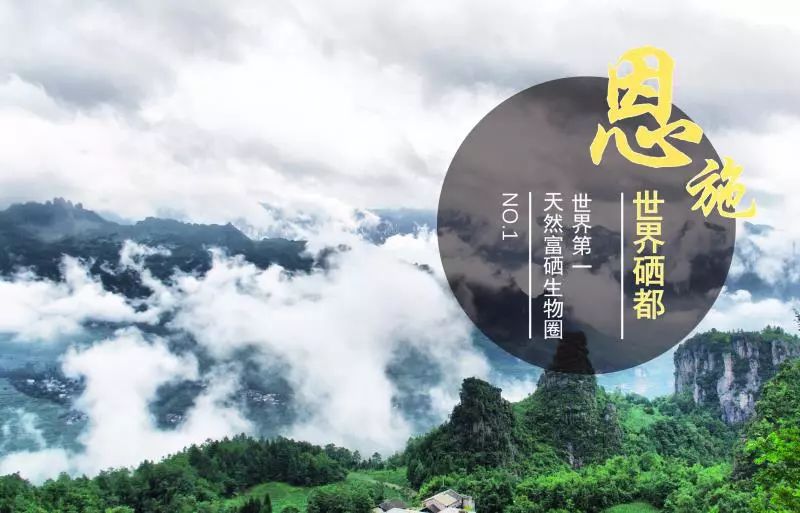 恩施富硒土豆特点(恩施土豆的营养)-硒宝网