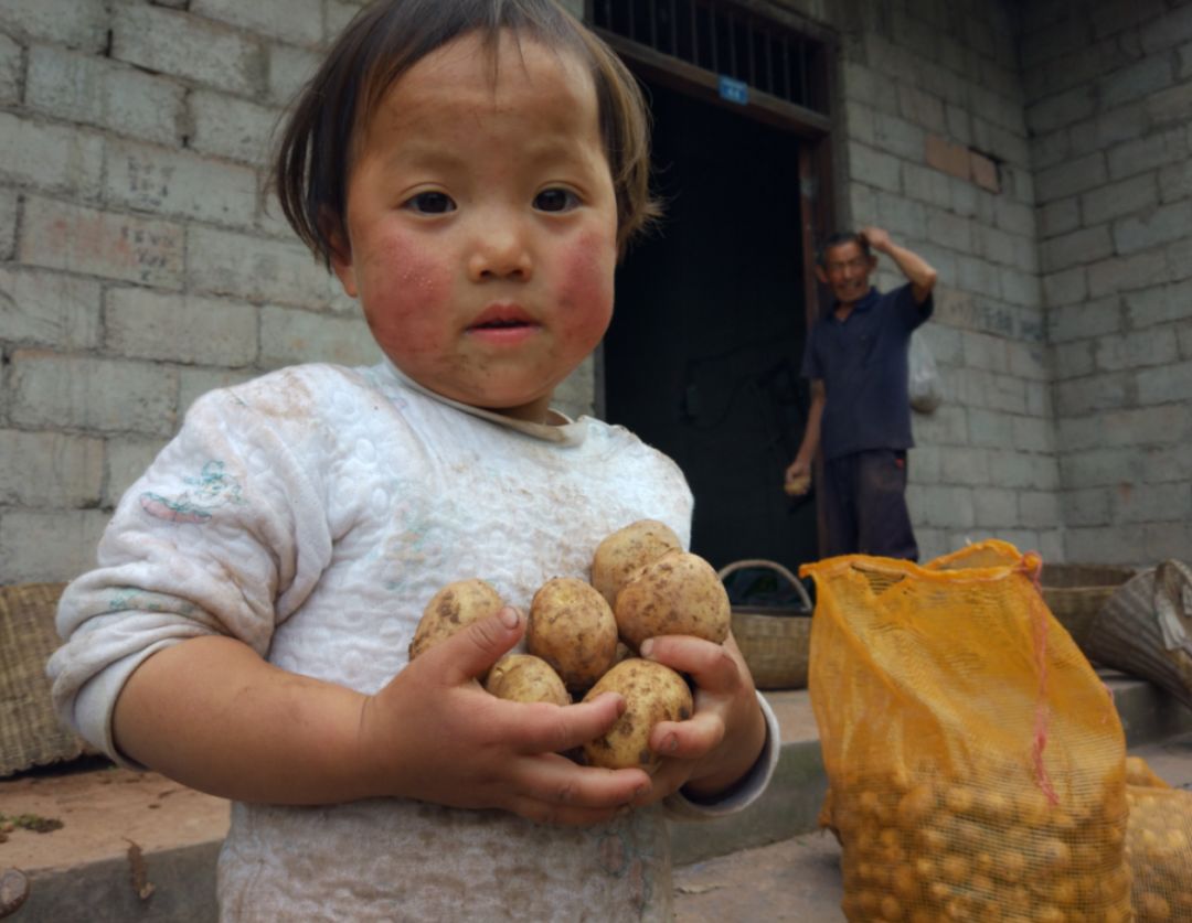 恩施富硒土豆特点(恩施土豆的营养)-硒宝网