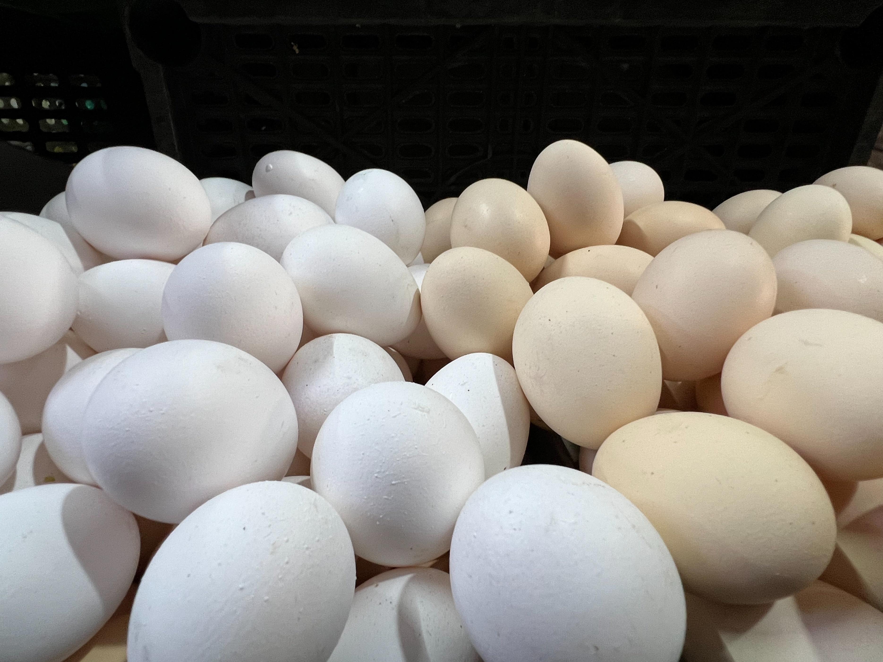 富硒无抗鸡蛋的价格（富硒无抗鸡蛋多少钱一个）-硒宝网