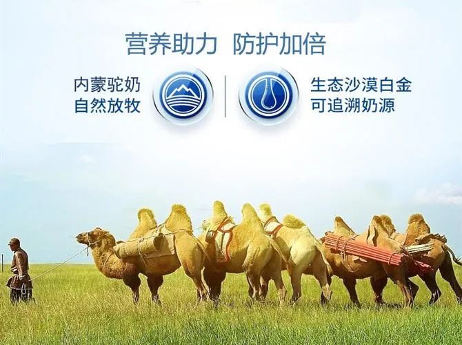 富硒驼奶粉有什么功效(富硒高钙配方驼奶粉)-硒宝网