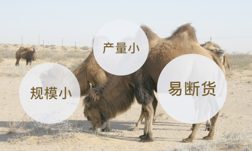 富硒驼奶粉有什么功效(富硒高钙配方驼奶粉)-硒宝网