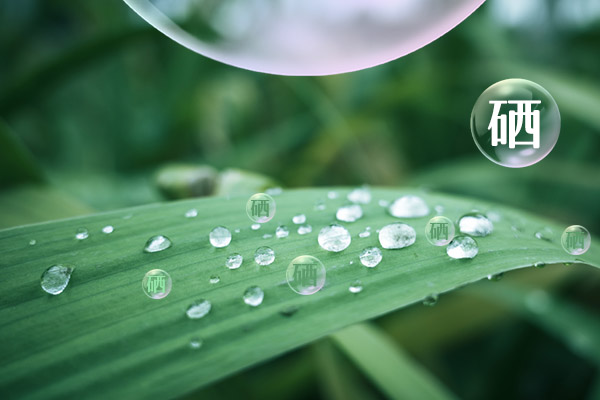 每天需要多少硒(每天需要硒多少微克)-硒宝网