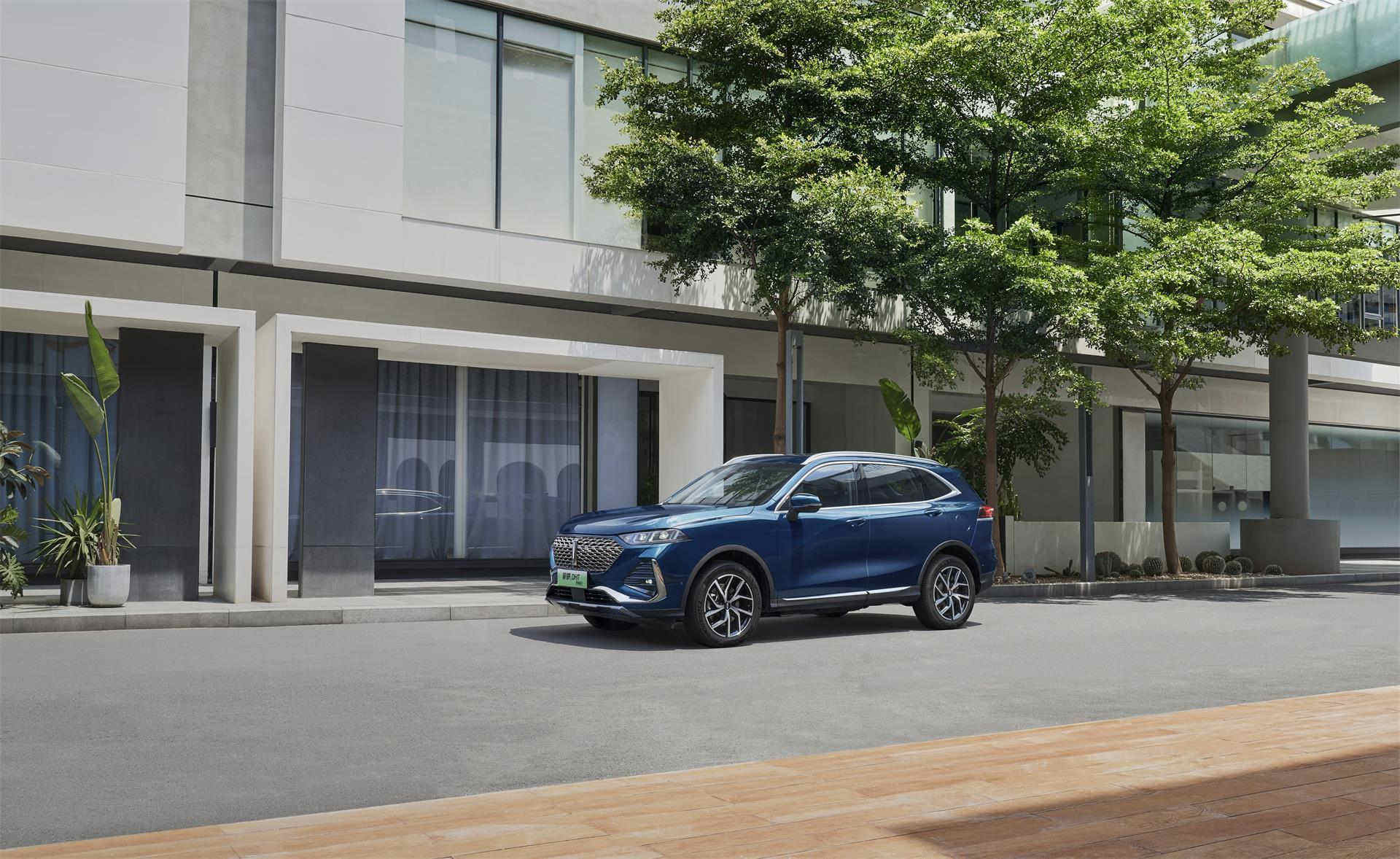 最好的富硒茶是哪里产的（茶产富硒好是什么茶）-硒宝网