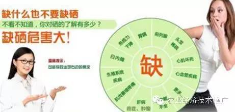 富硒产品有哪些种类(富硒农产品都有什么)-硒宝网