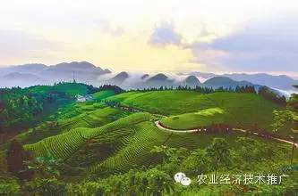 富硒产品有哪些种类(富硒农产品都有什么)-硒宝网