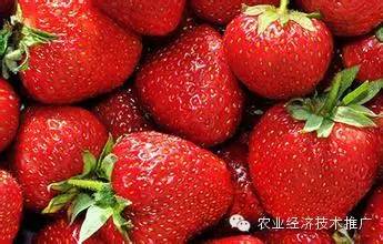 富硒产品有哪些种类(富硒农产品都有什么)-硒宝网