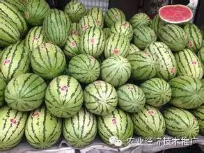 富硒产品有哪些种类(富硒农产品都有什么)-硒宝网