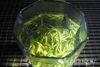 富硒产品有哪些种类(富硒农产品都有什么)-硒宝网