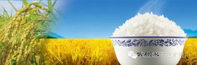 富硒产品有哪些种类(富硒农产品都有什么)-硒宝网