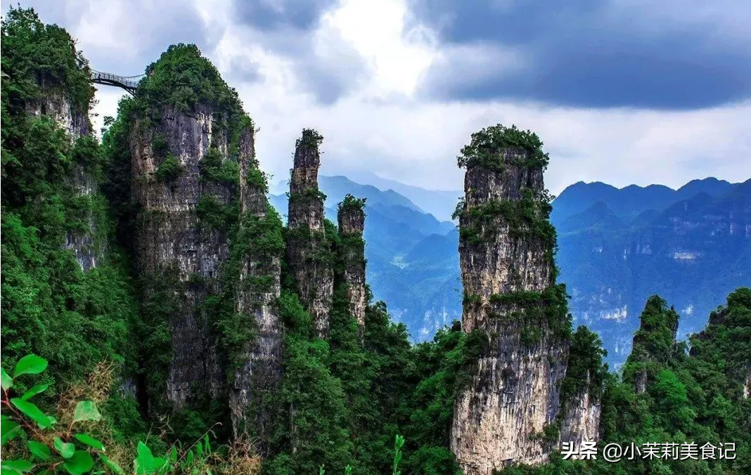 湖北恩施富硒绿茶(恩施绿茶硒茶)-硒宝网
