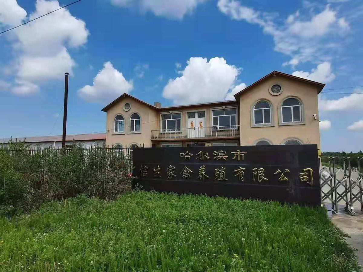 富硒鸡蛋营养价值高吗（吃富硒鸡蛋的好处多吗？）-硒宝网