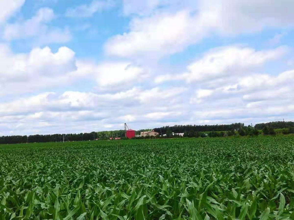 富硒鸡蛋营养价值高吗（吃富硒鸡蛋的好处多吗？）-硒宝网