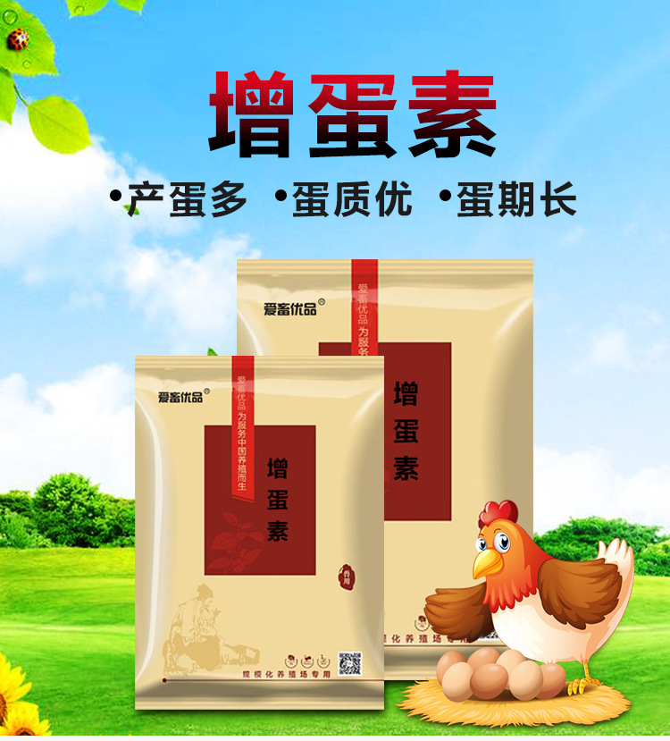 富硒鸡蛋生产技术规范（富硒鸡蛋养殖原料配方）-硒宝网