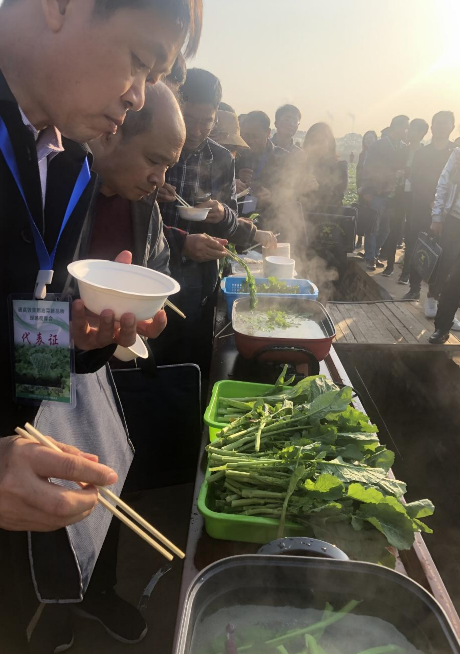 富硒蔬菜有哪些品种(含硒第一名的蔬菜)-硒宝网