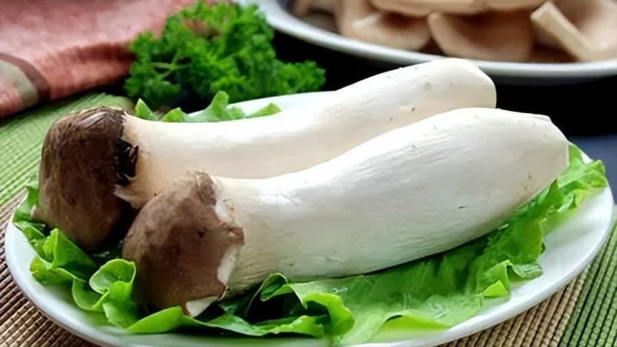 补硒对抗癌有什么作用（对肿瘤病人的好处和功效）-硒宝网