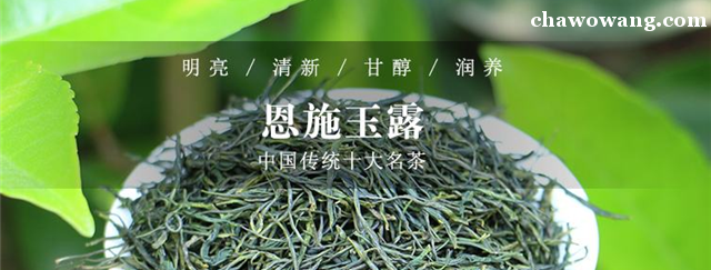 紫阳茶的功效和作用（喝紫阳茶对身体有啥好处）-硒宝网