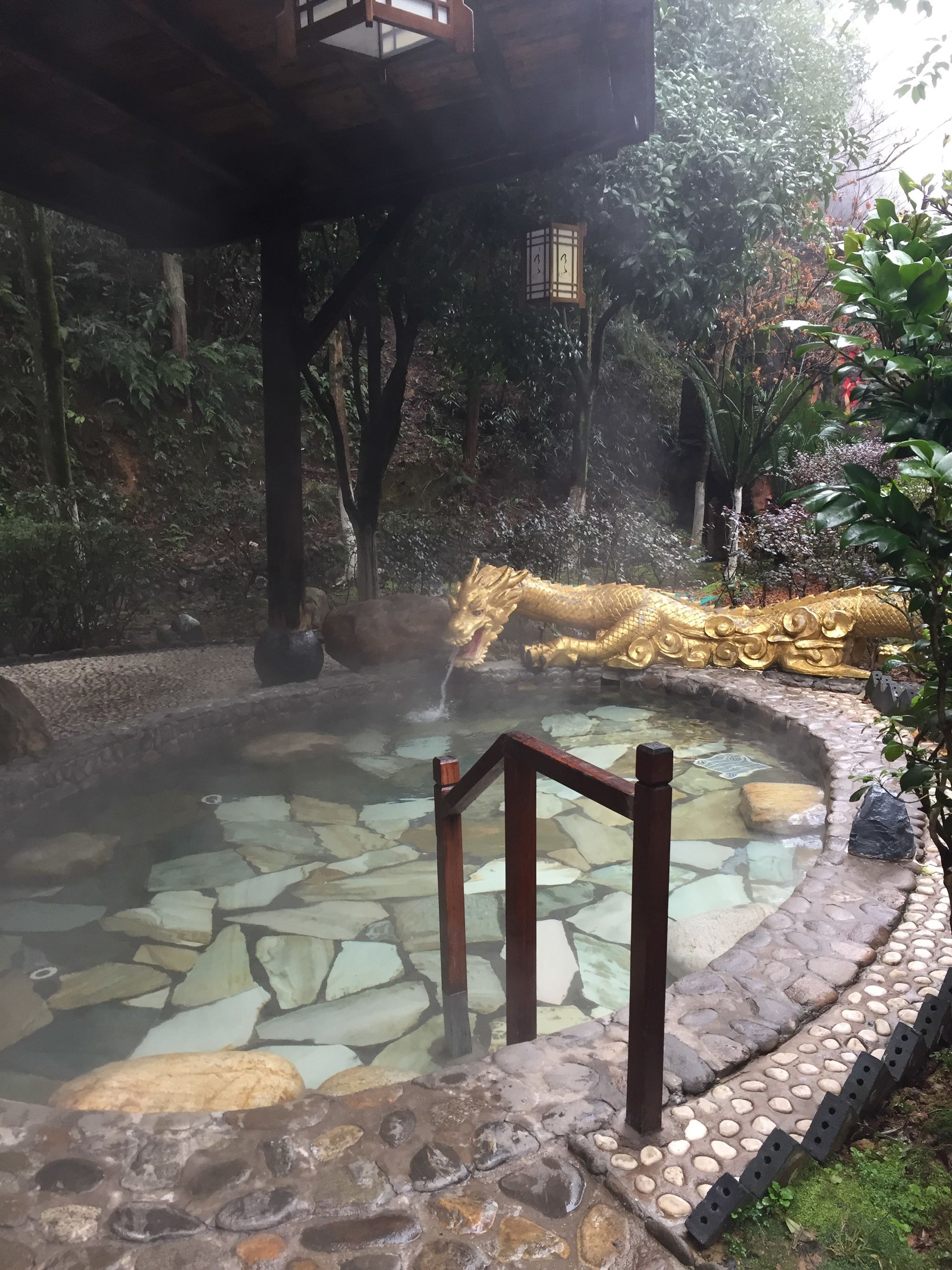 温汤镇的水都含富硒吗(温泉水真有这么好吗)-硒宝网