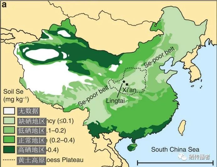儿童缺硒怎么补（小孩缺硒有什么影响）-硒宝网