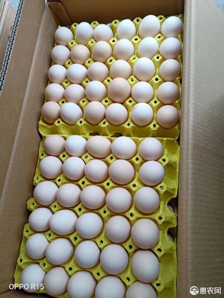 富硒蛋多少钱一斤呢(富硒蛋和普通蛋的区别)-硒宝网