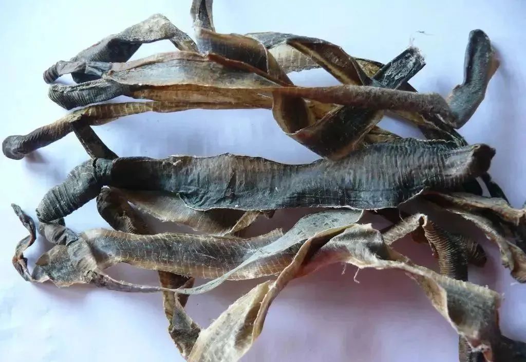 什么是地龙蛋白肽(地龙蛋白肽对人体的作用)-硒宝网