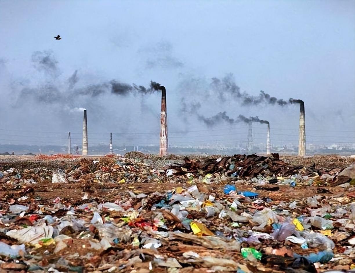 什么原因导致缺硒(缺硒的五大原因)-硒宝网