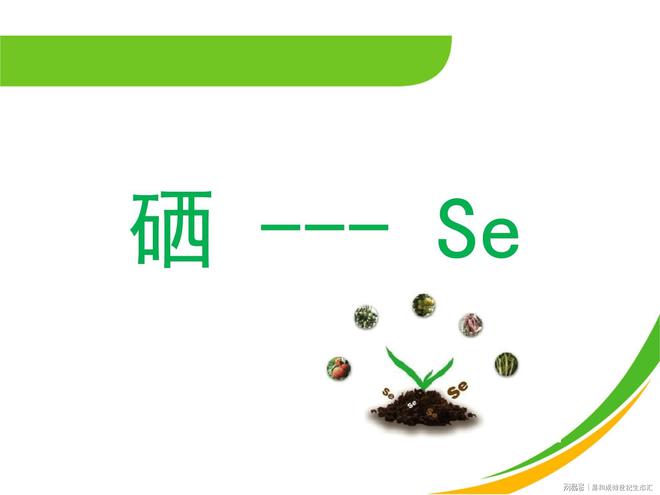 成人每天补硒多少微克(每天补充多少剂量的硒)-硒宝网