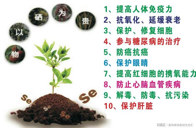 成人每天补硒多少微克(每天补充多少剂量的硒)-硒宝网