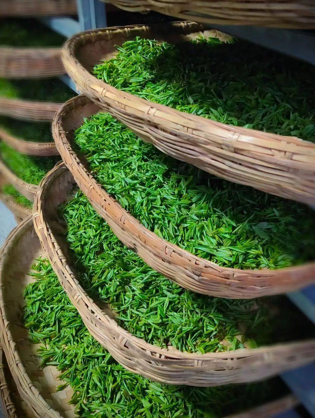 仙寓山富硒茶(仙寓山硒茶价格)-硒宝网