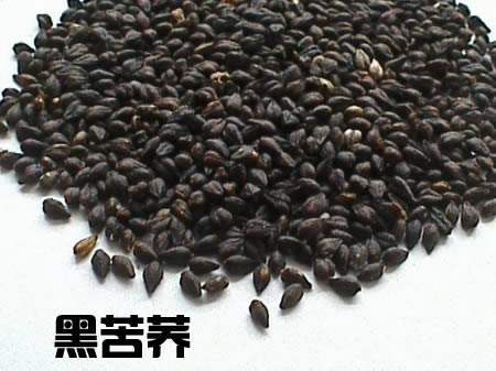 喝黑苦荞茶有什么好处（长期喝有什么功效和作用）-硒宝网