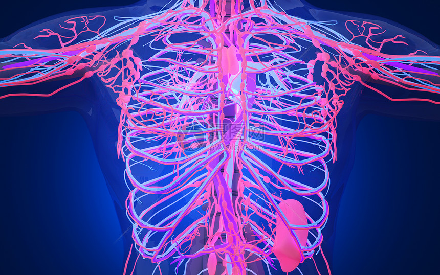 含硒的蔬菜水果(什么蔬菜水果含硒)-硒宝网