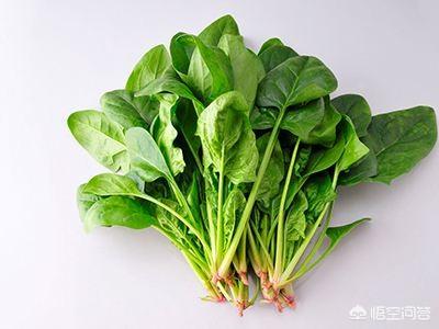 哪些水果含硒(什么蔬菜水果含硒)-硒宝网