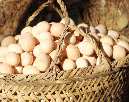 含富硒高的食物有哪些（富含硒的食物和水果有哪些）-硒宝网