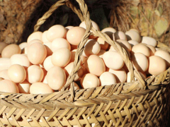 含富硒高的食物有哪些（富含硒的食物和水果有哪些）-硒宝网