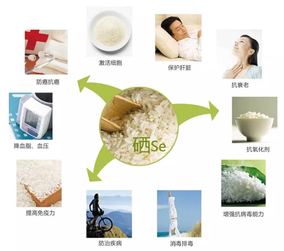 富硒农业是什么意思(富硒农业的发展趋势)-硒宝网