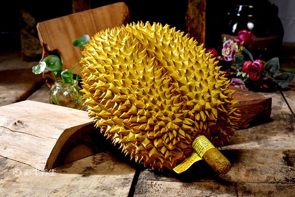 含硒第一名的水果(含硒的食物和水果有哪些)-硒宝网