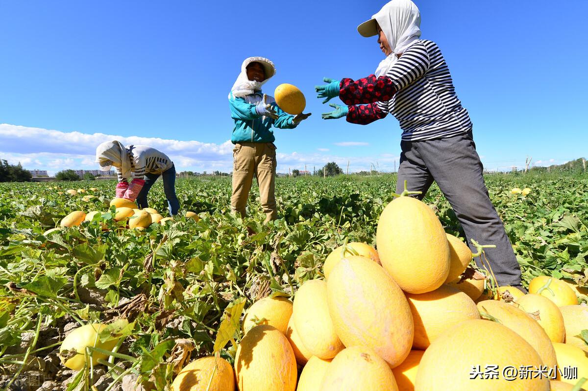 富硒有什么好处（富硒对人体好处）-硒宝网