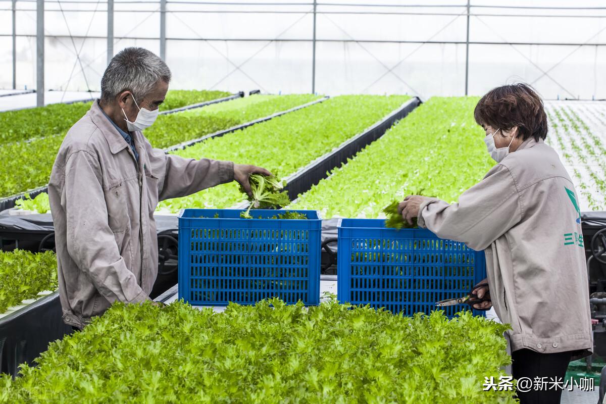 富硒有什么好处（富硒对人体好处）-硒宝网
