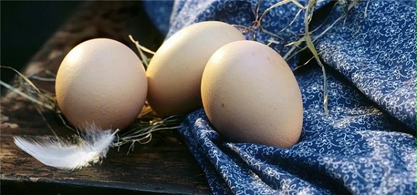 补硒多少合适（补硒要补什么样的硒）-硒宝网