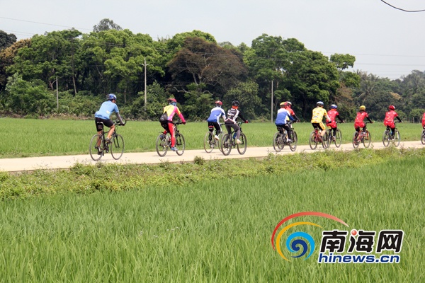 定安富硒大米(定安富硒大米产地)-硒宝网