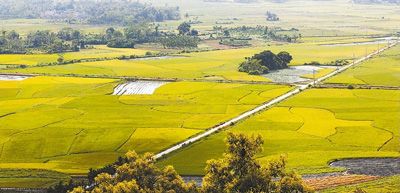 定安富硒大米(富硒大米好吗)-硒宝网