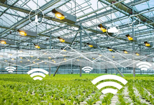 富硒有什么作用（富硒对人体的功效）-硒宝网