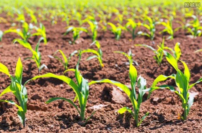 中国富硒地区有哪些（江西富硒是哪里的城市）-硒宝网