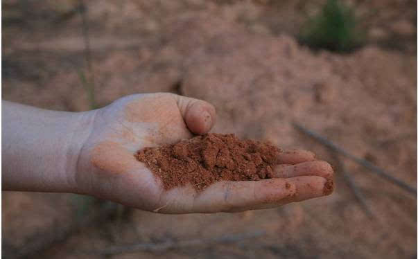 中国富硒地区有哪些（江西富硒是哪里的城市）-硒宝网