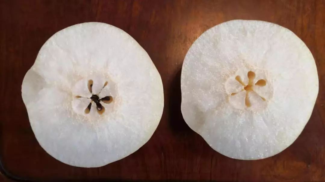 富硒梨是什么品种(富硒梨口感)-硒宝网