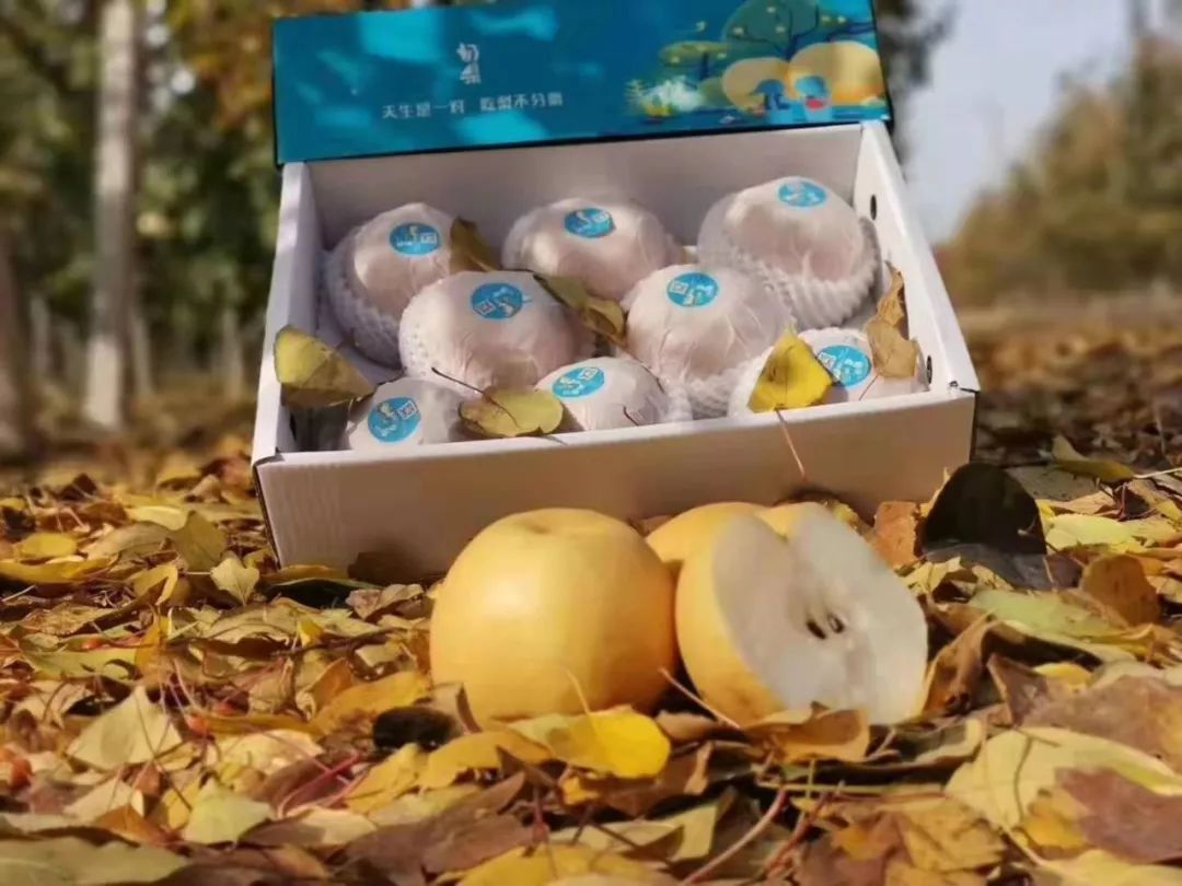 富硒梨是什么品种(富硒梨口感)-硒宝网