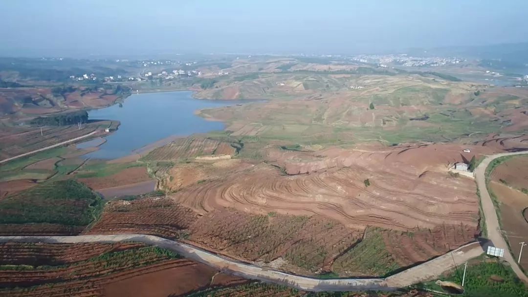 富硒梨是什么品种(富硒梨口感)-硒宝网