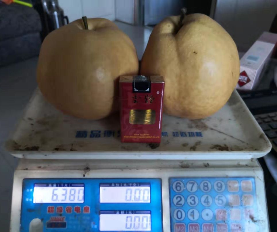 富硒梨是什么品种(富硒梨口感)-硒宝网